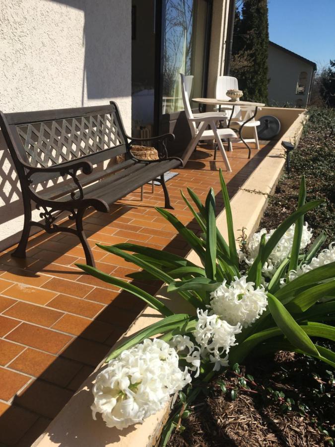 Exklusives Apartment In Bad Saeckingen Fuer 2 Person Екстер'єр фото